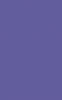 Lilac / PXL